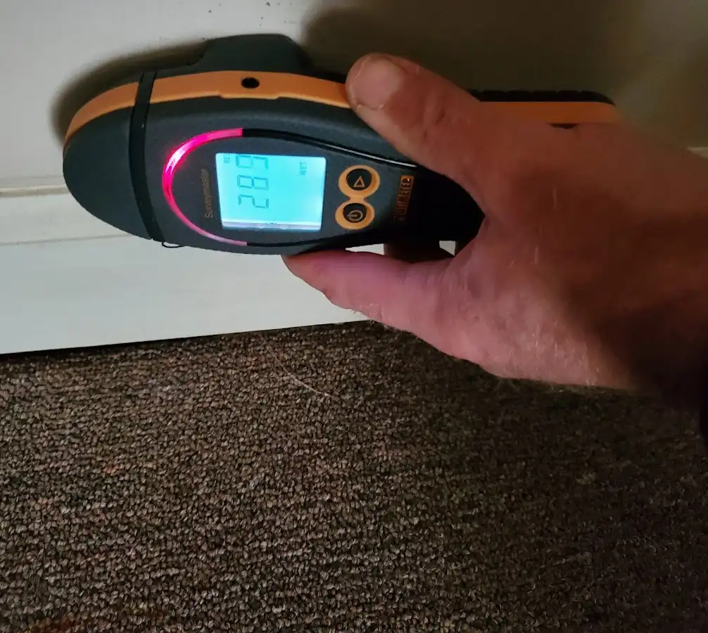 Moisture detection at baseboard during Mold Inspection & Testing in Ontario